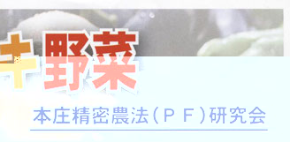 �{�������_�@�i�o�e�j������